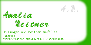 amalia meitner business card